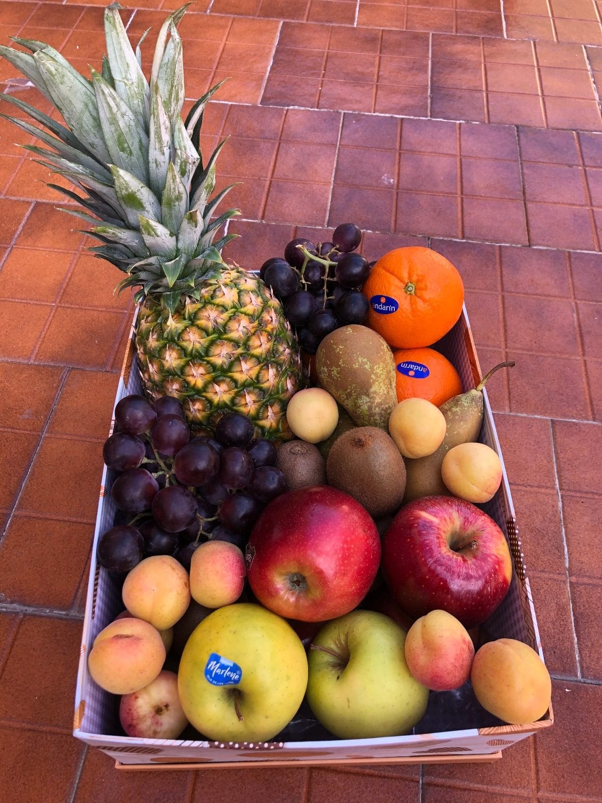 Cesta de fruta Caja Grande Frutávila